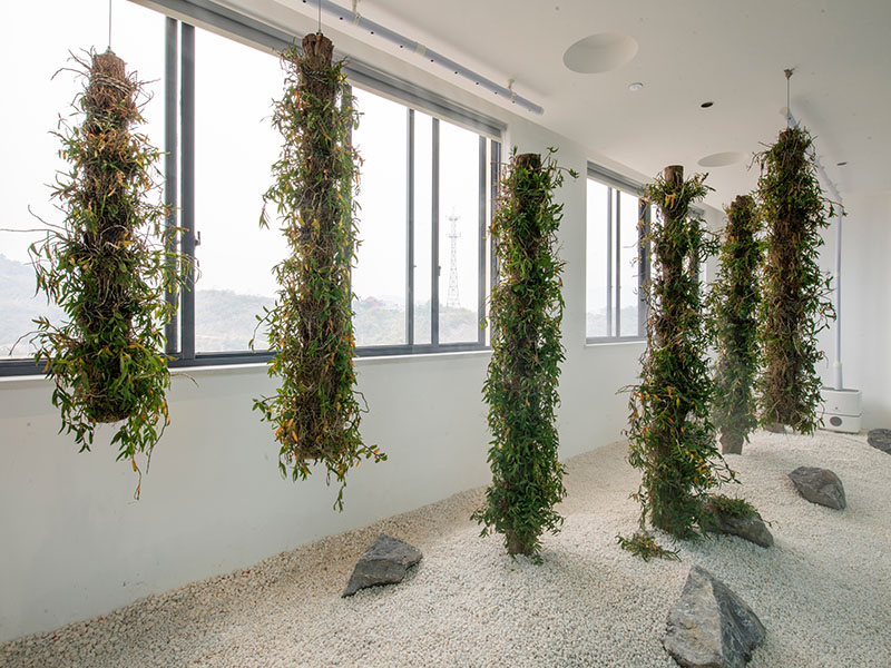 初心不改，蝴蝶自来